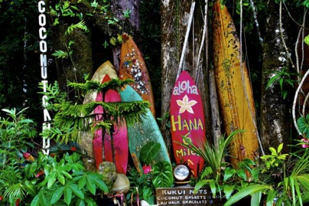 hawaii tours dinner cruise & packages excursions